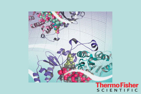 Reverse transcriptase